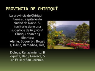 PROVINCIA DE CHIRIQUÍLa provincia de Chiriquí tiene su capital en la ciudad de David. Su territorio tiene una superficie de 6547Km2. Chiriquí abarca 13 distritos: Alanje, Boquerón, Bugaba, David, Remedios, Tolé, Dolega, Renacimiento, Boquete, Barú, Gualaca, San Félix, y San Lorenzo.