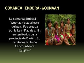 COMARCA EMBERÁ-WOUNAANLa comarca Emberá-Wounaan está al este del país. Fue creada por la Ley N°22 de 1983 en territorios de la provincia de Darién. Su capital es la Unión Chocó. Abarca 4383Km2