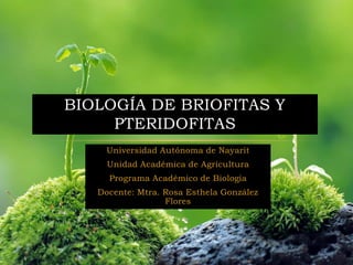 Universidad Autónoma de Nayarit
Unidad Académica de Agricultura
Programa Académico de Biología
Docente: Mtra. Rosa Esthela González
Flores
BIOLOGÍA DE BRIOFITAS Y
PTERIDOFITAS
 