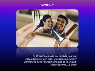 Division 2