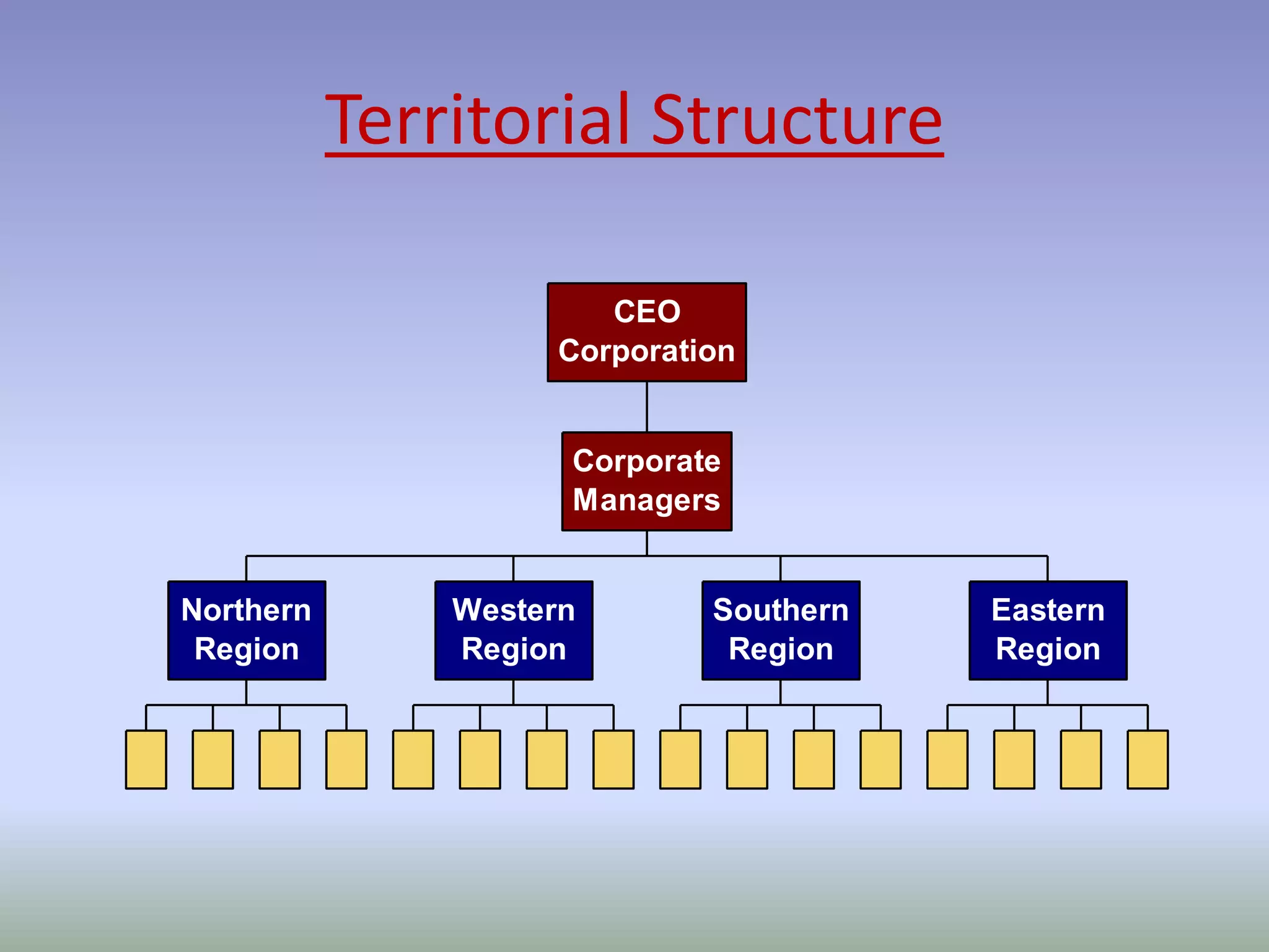 Territorial Structure 
Northern 
Region 
Corporation 
Western 
Region 
Southern 
Region 
Eastern 
Region 
CEO 
Corporate 
Managers 
 