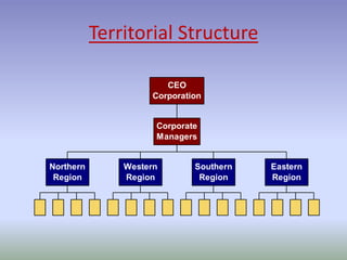 Territorial Structure 
Northern 
Region 
Corporation 
Western 
Region 
Southern 
Region 
Eastern 
Region 
CEO 
Corporate 
Managers 
 