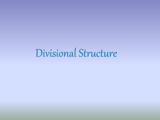 Divisional Structure 
 