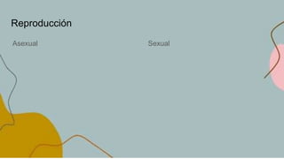 Reproducción
Asexual Sexual
 