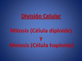 División Celular

Mitosis (Célula diploide)
            y
Meiosis (Célula haploide)
 