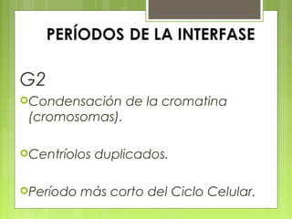 G2
Condensación

de la cromatina

(cromosomas).
Centríolos
Período

duplicados.

más corto del Ciclo Celular.

 