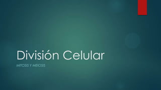 División Celular
MITOSIS Y MEIOSIS

 