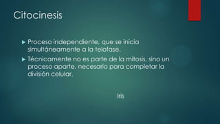 Citocinesis


Proceso independiente, que se inicia
simultáneamente a la telofase.



Técnicamente no es parte de la mitosis, sino un
proceso aparte, necesario para completar la
división celular.

Iris

 