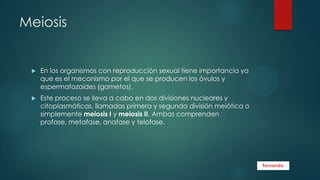 Meiosis



En los organismos con reproducción sexual tiene importancia ya
que es el mecanismo por el que se producen los óvulos y
espermatozoides (gametos).



Este proceso se lleva a cabo en dos divisiones nucleares y
citoplasmáticas, llamadas primera y segunda división meiótica o
simplemente meiosis I y meiosis II. Ambas comprenden
profase, metafase, anafase y telofase.

 