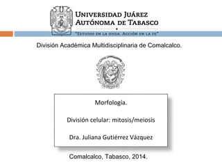 División Académica Multidisciplinaria de Comalcalco. 
Morfología. 
División celular: mitosis/meiosis 
Dra. Juliana Gutiérrez Vázquez 
Comalcalco, Tabasco, 2014. 
 