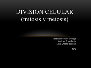 Sebastián Ceballos Montoya
Verónica Sosa García
Laura Cristina Betancur
10°2
DIVISION CELULAR
(mitosis y meiosis)
 