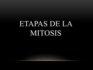 ETAPAS DE LA
MITOSIS
 