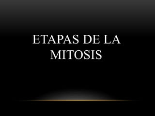 ETAPAS DE LA
MITOSIS
 