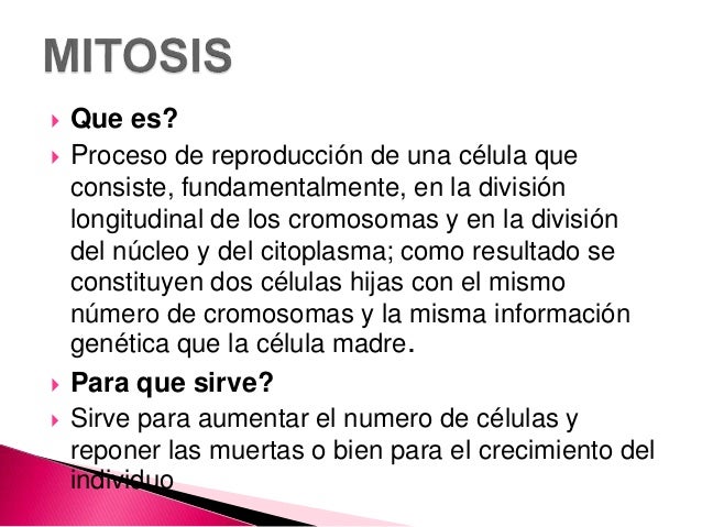 Division celular mitosis y meiosis