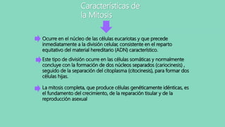 Características de
la Mitosis
Ocurre en el núcleo de las células eucariotas y que precede
inmediatamente a la división celular, consistente en el reparto
equitativo del material hereditario (ADN) característico.
Este tipo de división ocurre en las células somáticas y normalmente
concluye con la formación de dos núcleos separados (cariocinesis) ,
seguido de la separación del citoplasma (citocinesis), para formar dos
células hijas.
La mitosis completa, que produce células genéticamente idénticas, es
el fundamento del crecimiento, de la reparación tisular y de la
reproducción asexual
 