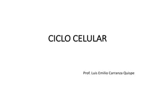 CICLO CELULAR
Prof. Luis Emilio Carranza Quispe
 