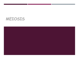 MEIOSIS
 