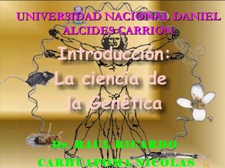 Dr. RAUL RICARDO
CARHUAPOMA NICOLAS
UNIVERSIDAD NACIONAL DANIELUNIVERSIDAD NACIONAL DANIEL
ALCIDES CARRIONALCIDES CARRION
 