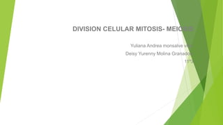 DIVISION CELULAR MITOSIS- MEIOSIS
Yuliana Andrea monsalve villa.
Deisy Yurenny Molina Granados.
11º3
 