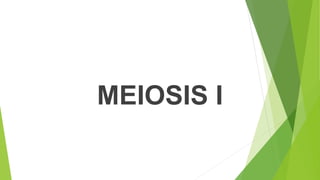 MEIOSIS I
 