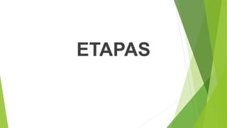 ETAPAS
 