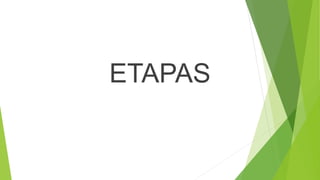 ETAPAS
 