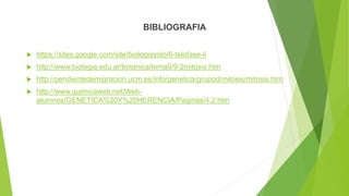 BIBLIOGRAFIA
 https://sites.google.com/site/biologiayolo/6-telofase-ii
 http://www.biologia.edu.ar/botanica/tema9/9-2mitosis.htm
 http://pendientedemigracion.ucm.es/info/genetica/grupod/mitosis/mitosis.htm
 http://www.quimicaweb.net/Web-
alumnos/GENETICA%20Y%20HERENCIA/Paginas/4.2.htm
 