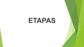 ETAPAS
 