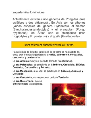 superfamiliaHominoidea.
Actualmente existen cinco géneros de Pongidos (tres
asiáticos y dos africanos) . En Asia son los gibones
(varias especies del género Hylobates), el siamán
(Simphalangussyndactylus) y el orangután (Pongo
pygmaeus); en África son el chimpancé (Pan
troglodytes y P. paniscus) y el gorila (Gorillagorilla).
ERAS O ÉPOCAS GEOLÓGICAS DE LA TIERRA
Para efectos de estudio, la historia de la tierra se ha dividido en
cinco eras o épocas geológicas: arcaica, paleozoica, mesozoica,
cenozoica y cuaternaria.
La era Arcaica incluye el período llamado Precámbrico.
La era Paleozoica, se subdivide en Cámbrico, Ordovicio, Silúrico,
Devónico, Carbonífero y Pérmico.
La era Mesozoica, a su vez, se subdivide en Triácico, Jurásico y
Cretácico.
La era Cenozoica, corresponde al periodo Terciario.
La era Cuaternaria, que se
extiende hasta la actualidad.
 