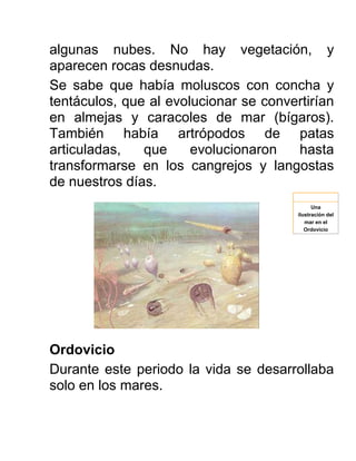 algunas nubes. No hay vegetación, y
aparecen rocas desnudas.
Se sabe que había moluscos con concha y
tentáculos, que al evolucionar se convertirían
en almejas y caracoles de mar (bígaros).
También había artrópodos de patas
articuladas, que evolucionaron hasta
transformarse en los cangrejos y langostas
de nuestros días.
Ordovicio
Durante este periodo la vida se desarrollaba
solo en los mares.
Una
ilustración del
mar en el
Ordovicio
 