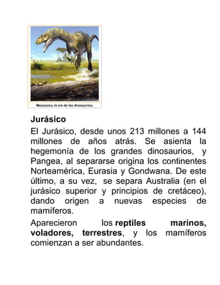 Jurásico
El Jurásico, desde unos 213 millones a 144
millones de años atrás. Se asienta la
hegemonía de los grandes dinosaurios, y
Pangea, al separarse origina los continentes
Norteamérica, Eurasia y Gondwana. De este
último, a su vez, se separa Australia (en el
jurásico superior y principios de cretáceo),
dando origen a nuevas especies de
mamíferos.
Aparecieron los reptiles marinos,
voladores, terrestres, y los mamíferos
comienzan a ser abundantes.
Mesozoica, la era de los dinosaurios.
 