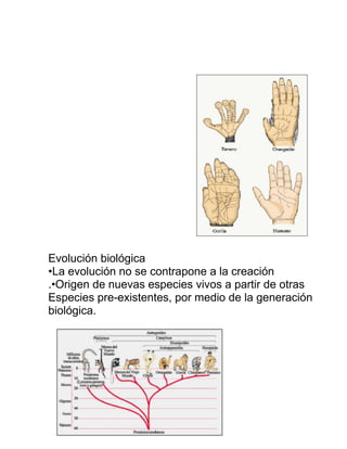 Evolución biológica
•La evolución no se contrapone a la creación
.•Origen de nuevas especies vivos a partir de otras
Especies pre-existentes, por medio de la generación
biológica.
 