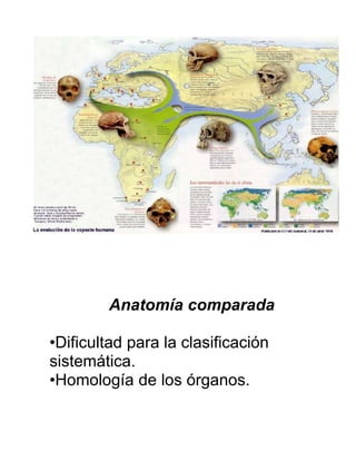 Anatomía comparada
•Dificultad para la clasificación
sistemática.
•Homología de los órganos.
 