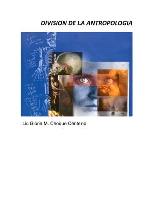 DIVISION DE LA ANTROPOLOGIA
Lic Gloria M. Choque Centeno.
 