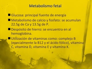  Glucosa: principal fuente de energía
 Metabolismo de calcio y fosfato: se acumulan
  22.5g de Ca y 13.5g de P.
 Despósito de hierro: se encuentra en al
  hemoglobina.
 Utilización de vitaminas como: complejo B
  (epecialmente la B12 y el ácido fólico), vitamina
  C, vitamina D, vitamina E y vitamina K.
 