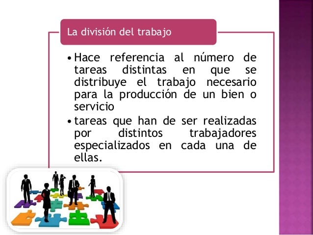 Division del trabajo