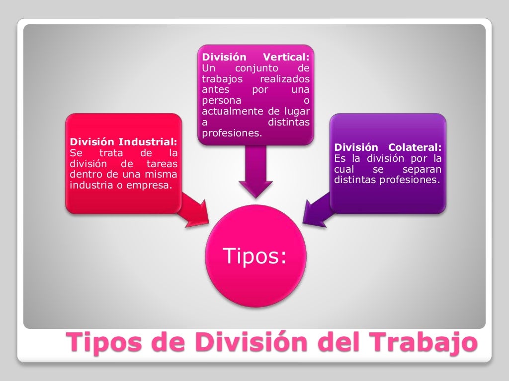 División del Trabajo División del Trabajo