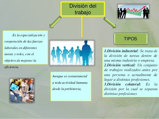 División del trabajo Luis