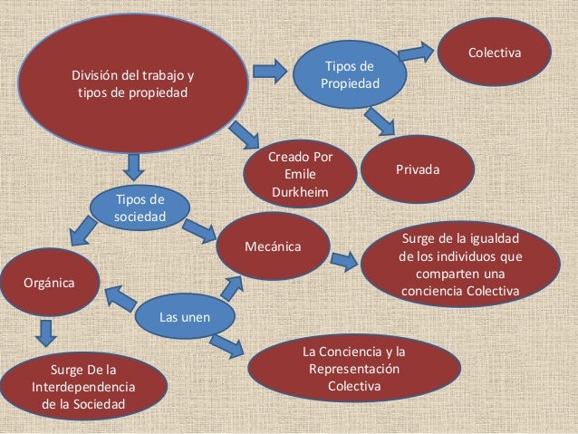 División del trabajo y tipos de propiedad