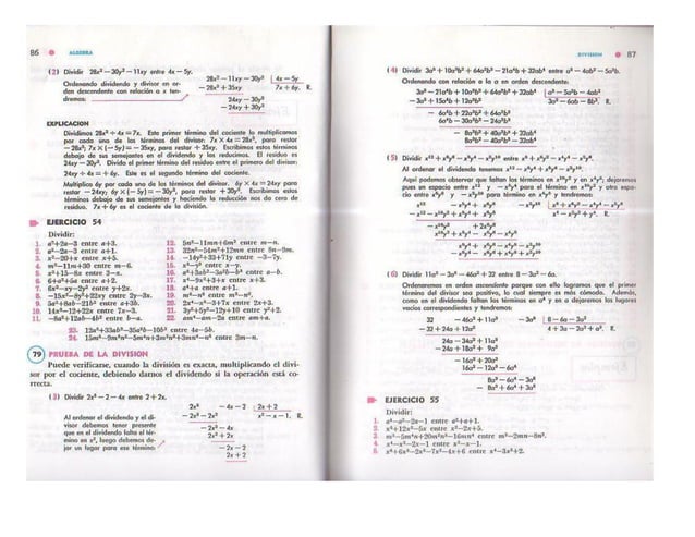 Division De Polinomios (Algebra De Baldor) | PDF