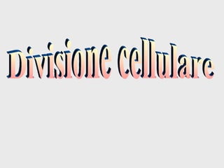 Divisione cellulare 