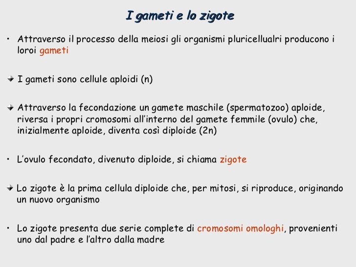 A E I O U Cosa Sono