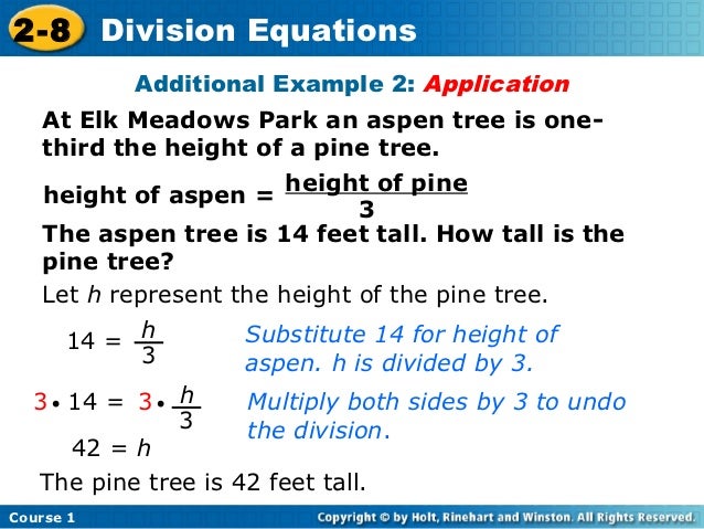 Division equations
