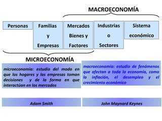 Divisiones De La Economia