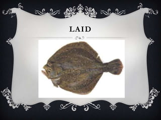 LAID
 