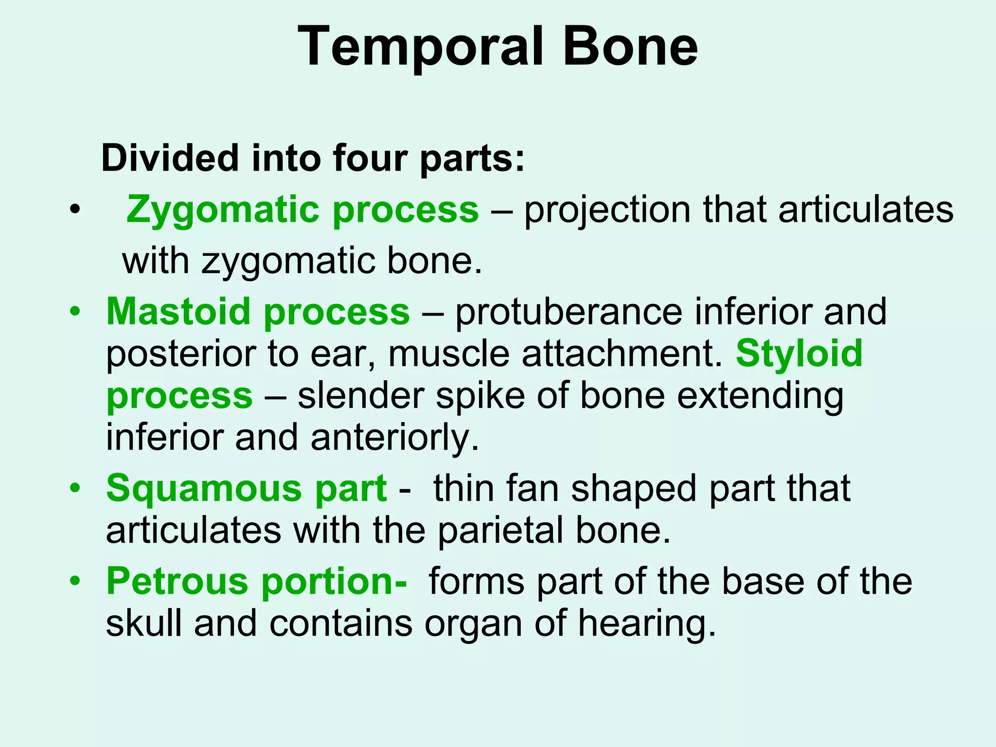 Temporal Bone
Divided into four parts:
• Zygomatic process – projection that articulates
with zygomatic bone.
• Mastoid process – protuberance inferior and
posterior to ear, muscle attachment. Styloid
process – slender spike of bone extending
inferior and anteriorly.
• Squamous part - thin fan shaped part that
articulates with the parietal bone.
• Petrous portion- forms part of the base of the
skull and contains organ of hearing.
 