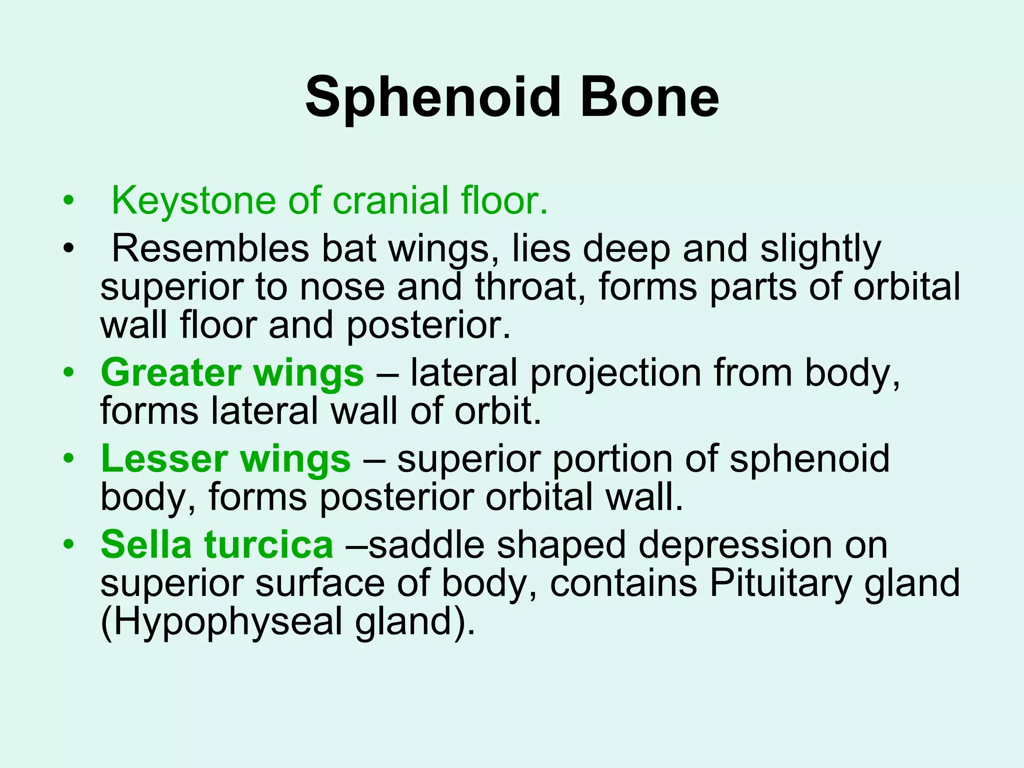 Sphenoid Bone
• Keystone of cranial floor.
• Resembles bat wings, lies deep and slightly
superior to nose and throat, forms parts of orbital
wall floor and posterior.
• Greater wings – lateral projection from body,
forms lateral wall of orbit.
• Lesser wings – superior portion of sphenoid
body, forms posterior orbital wall.
• Sella turcica –saddle shaped depression on
superior surface of body, contains Pituitary gland
(Hypophyseal gland).
 