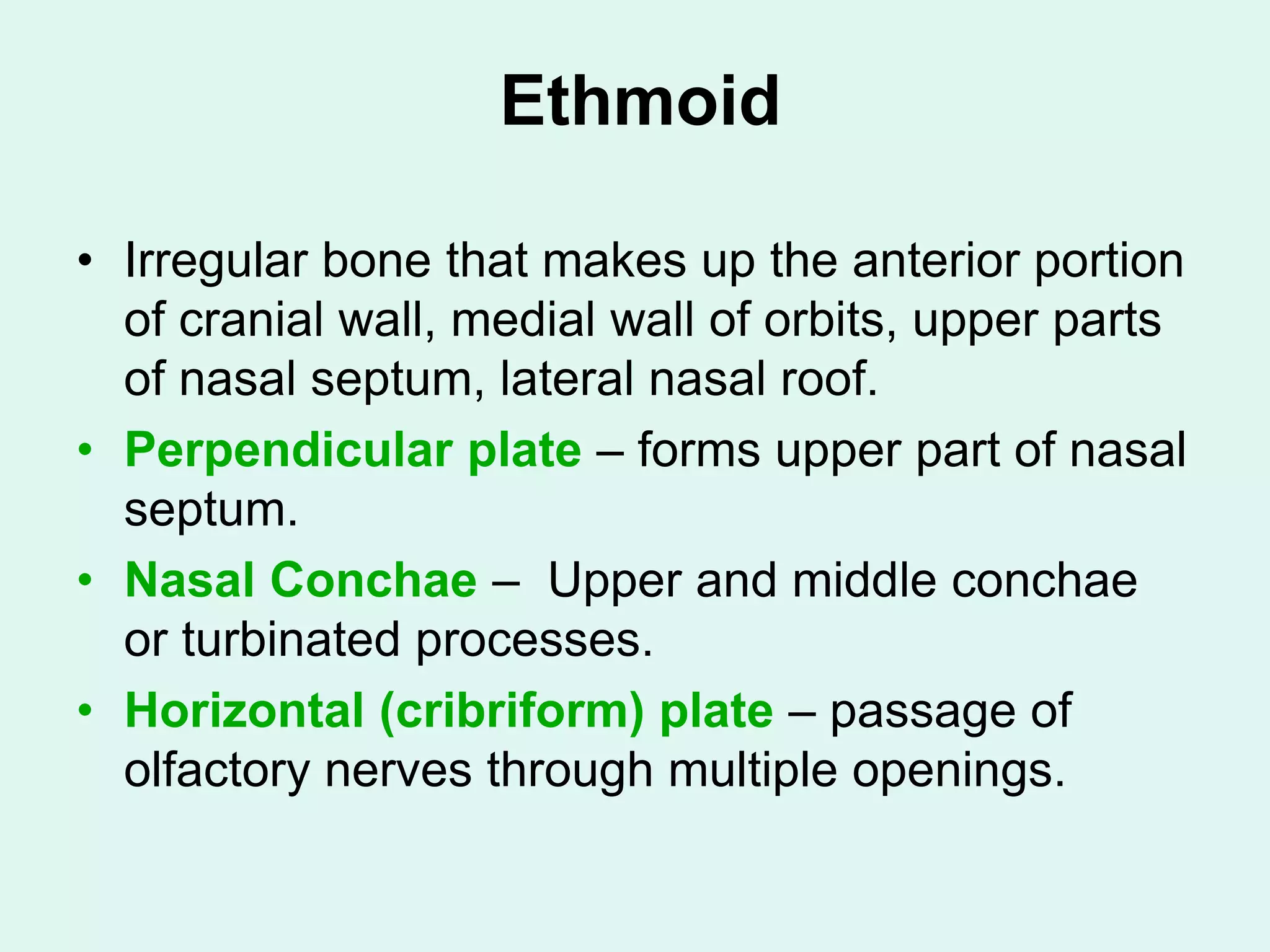 Ethmoid
• Irregular bone that makes up the anterior portion
of cranial wall, medial wall of orbits, upper parts
of nasal septum, lateral nasal roof.
• Perpendicular plate – forms upper part of nasal
septum.
• Nasal Conchae – Upper and middle conchae
or turbinated processes.
• Horizontal (cribriform) plate – passage of
olfactory nerves through multiple openings.
 