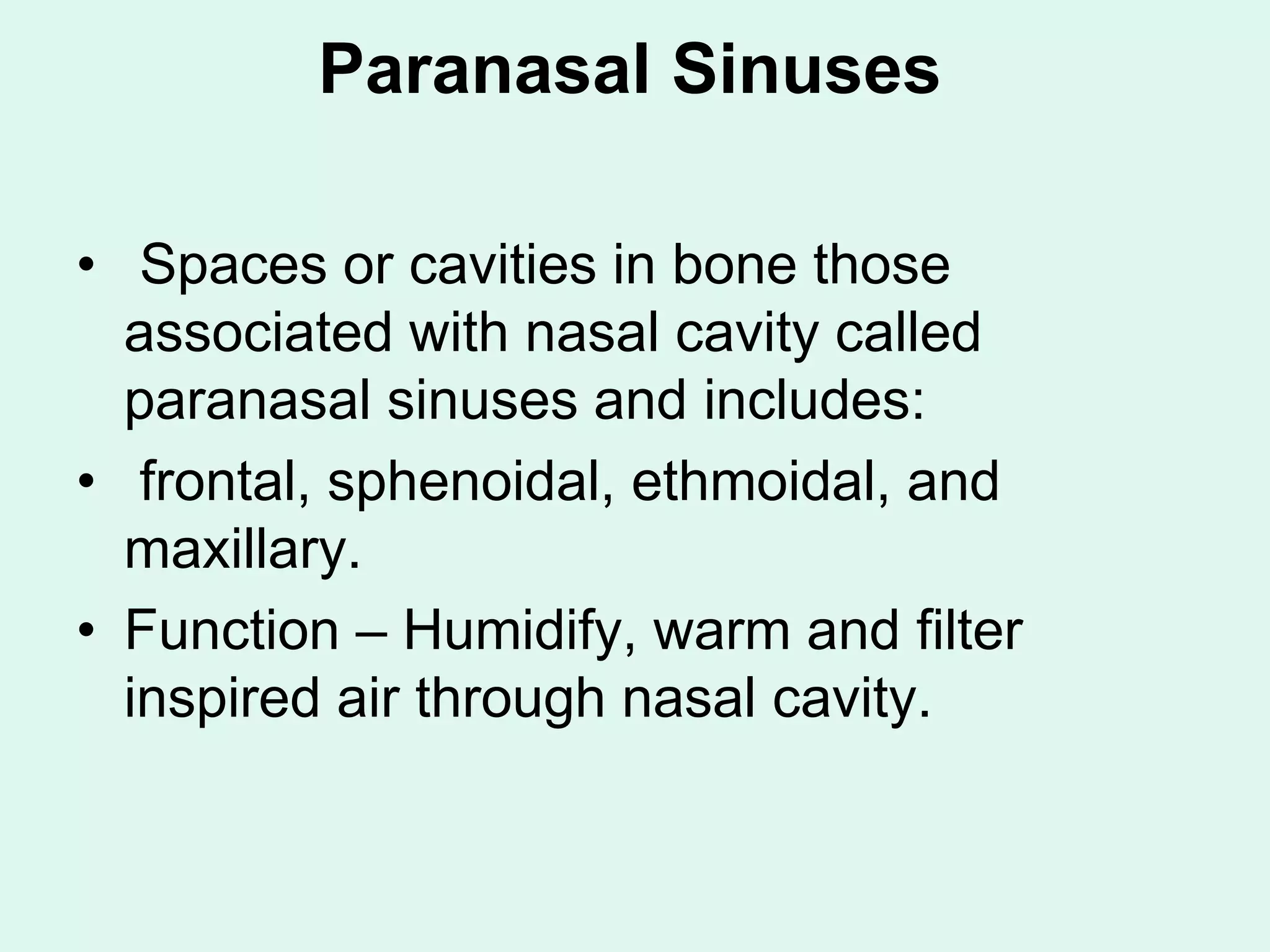 Paranasal Sinuses
• Spaces or cavities in bone those
associated with nasal cavity called
paranasal sinuses and includes:
• frontal, sphenoidal, ethmoidal, and
maxillary.
• Function – Humidify, warm and filter
inspired air through nasal cavity.
 