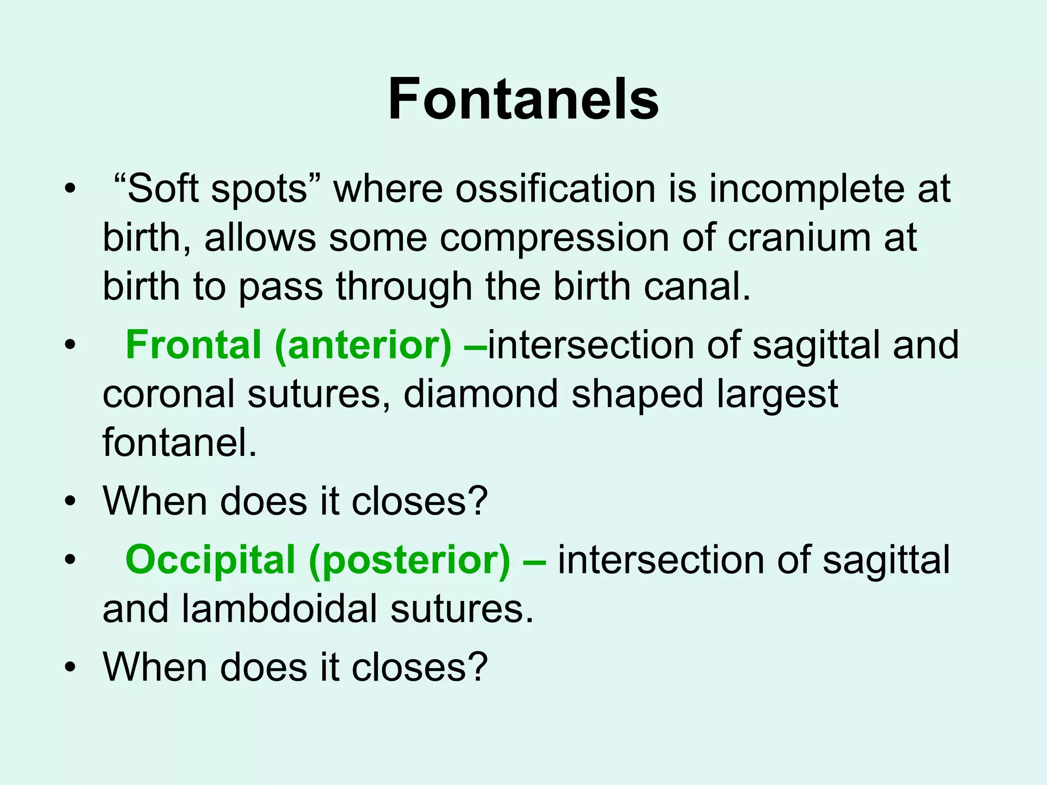 Fontanels
• “Soft spots” where ossification is incomplete at
birth, allows some compression of cranium at
birth to pass through the birth canal.
• Frontal (anterior) –intersection of sagittal and
coronal sutures, diamond shaped largest
fontanel.
• When does it closes?
• Occipital (posterior) – intersection of sagittal
and lambdoidal sutures.
• When does it closes?
 